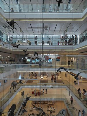 Atrio del Museo de la Ciencia de Trento.