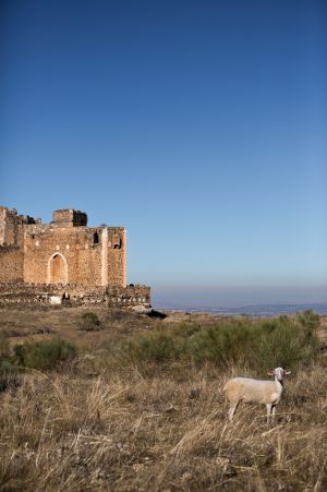 Parte del castillo de Montalbán, en la carretera que une La Puebla de Montalbán con San Martín de Montalbán.