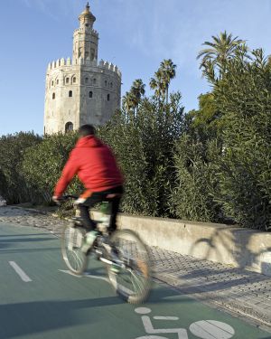 Ciclista en un carril bici de Sevilla, con la Torre del Oro al fondo.