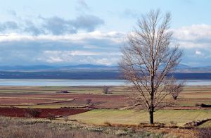 Laguna de Gallocanta (Teruel-Zaragoza).