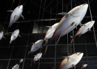 Alerta Mediterráneo Alerta Mediterráneo