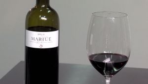 Taninos mórbidos