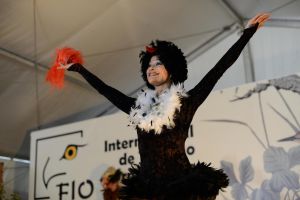 Animadora en FIO 2013.
