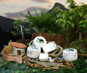 Locos por el queso asturiano