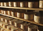 Locos por el queso asturiano