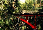 Un valle secreto en Tokio Un valle secreto en Tokio