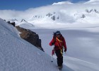 La vida en la Antártida La vida en la Antártida