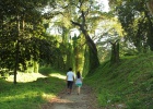 La selva de La Habana