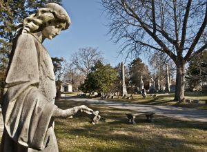 El cementerio Woodlawn.