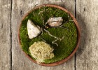 Noma, la mejor mesa del mundo