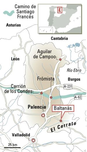 El gato, del Cerrato