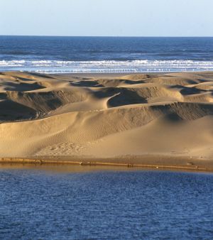 Zona de dunas entre la playa de Tan-Tan y Tarfaya, al sur de Marruecos.
