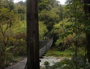 Puente para un máximo de cinco personas en una ruta de senderismo por la West Coast neozelandesa.