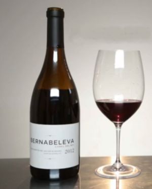 Un gran vino madrileño
