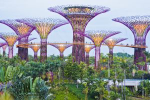 Gardens by the Bay, un parque urbano de 101 hectáreas en Singapur.