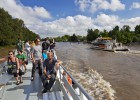 El brioso Tigre del Paraná El brioso Tigre del Paraná