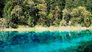 Lago turquesa en Jiuzhaigou.