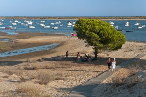 Playa de la Flecha del Rompido, en Huelva. Playa de la Flecha del Rompido, en Huelva.
