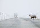 Diez viajes para locos del volante Diez viajes para locos del volante