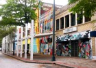 La galería de los mamíferos La galería de los mamíferos