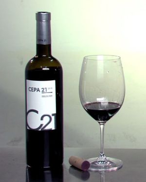 La viveza de la fruta