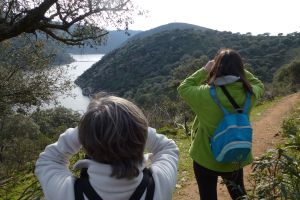 Observación de aves en el parque nacional de Monfragüe.