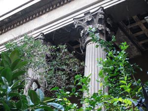 La vegetación ha invadido las columnas del Taller Masriera.