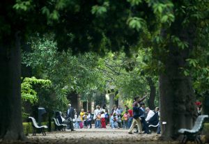 Jardín Botánico de Valencia.