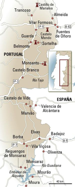 La raya y el erizo