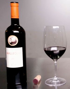Malleolus 2011, imponente en boca