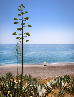 Playa del Ruso, en la Costa Tropical de Granada.
