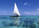 ¡A toda vela! ¡A toda vela!