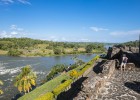 La cabaña de Tarzán La cabaña de Tarzán