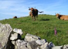 En busca de los ‘vaqueiros’ de Asturias En busca de los ‘vaqueiros’ de Asturias