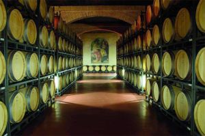 La bodega Francisco Gómez, en Villena.