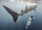 20 destinos que inspiran un viaje 20 destinos que inspiran un viaje