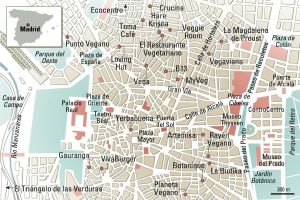 Restaurantes vegetarianos en Madrid