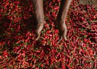 La vuelta al mundo más picante La vuelta al mundo más picante