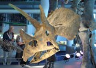 Leiden, la ciudad de los 13 museos Leiden, la ciudad de los 13 museos