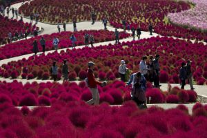 Lo más visto de ‘El Viajero’ en noviembre Lo más visto de ‘El Viajero’ en noviembre