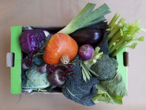 Comprar verduras por Internet. Comprar verduras por Internet.
