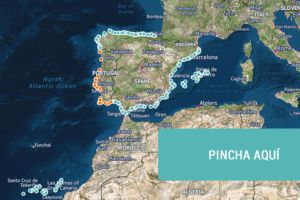 Vinos baratos y playas nudistas, lo más visto en 2015 Vinos baratos y playas nudistas, lo más visto en 2015