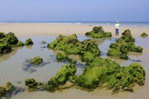 Vinos baratos y playas nudistas, lo más visto en 2015 Vinos baratos y playas nudistas, lo más visto en 2015