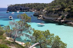 Vinos baratos y playas nudistas, lo más visto en 2015 Vinos baratos y playas nudistas, lo más visto en 2015