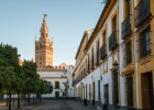 Flamenco y gastronomía en Sevilla Flamenco y gastronomía en Sevilla