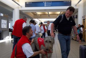 Terapia con animales en el aeropuerto de Los Ángeles.