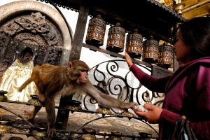 Una visitante ante los rodillos de oración del templo budista de Swayambhu, en Katmandú (Nepal).