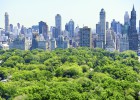 El gran jardín de Manhattan