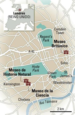 El diente de megalodón en Londres