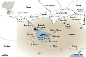 El salvaje delta del Okavango